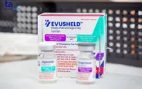 Kháng thể đơn dòng Evusheld dự phòng COVID-19 được cấp phép tại Việt Nam
