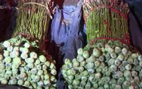 Bắt đối tượng vận chuyển hơn 1.000 cây thuốc phiện