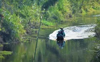 Gần 9.000 ha rừng ở Cà Mau có nguy cơ cháy