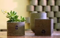 Học cách sống xanh trong mùa dịch