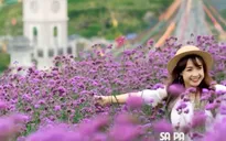 Những điểm du lịch hấp dẫn nên đi vào tháng 3