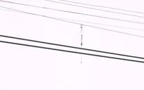 Gia tăng trường hợp bỏng nặng do câu cá dưới đường điện