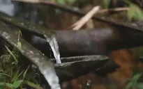 Du lịch cộng đồng nhộn nhịp trở lại