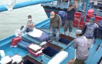 Kiên Giang tập trung cao điểm 180 ngày khắc phục "thẻ vàng" IUU