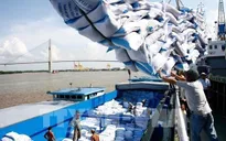 WB: Kinh tế Việt Nam tiếp tục phục hồi