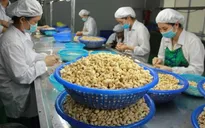 Nhanh chóng giải quyết vụ 36 container điều