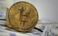 Chuyên gia đầu tư: Bitcoin sẽ hiện diện trong hơn 1 tỷ ví điện tử vào năm 2025