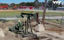 Nhiều giếng dầu tại Mỹ bị bỏ hoang trong khi giá tăng cao kỷ lục