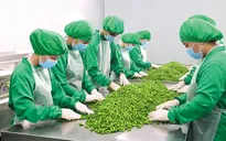 Xuất khẩu nỗ lực trở lại “đường đua”