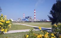 Nguy cơ thiếu than cho sản xuất điện, Bộ Công Thương chỉ đạo khẩn