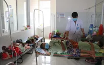 An Giang tăng số ca mắc sốt xuất huyết