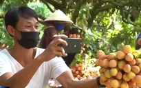 Khoảng 5 triệu hộ sản xuất nông nghiệp đưa sản phẩm lên sàn TMĐT