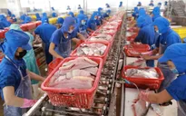 Tiêu chuẩn hàng thủy sản khi xuất khẩu vào thị trường Mỹ