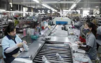 Doanh nghiệp vượt khó đóng góp tăng trưởng GDP