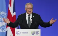 Australia: Đảng của Thủ tướng Morrison đối mặt với thất bại trong cuộc bầu cử cấp bang