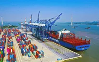 Kỳ 6: Đồng Nai - mở rộng cảng biển, không để cầu cảng biến thành... cầu ao