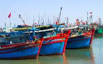 Bà Rịa - Vũng Tàu: Hàng trăm tàu cá nằm bờ do giá dầu tăng cao