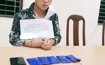 Bắt 2 đối tượng, thu giữ số lượng lớn ma túy đá