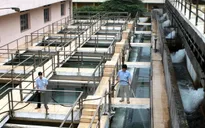 Bảo vệ nguồn nước ngầm đô thị
