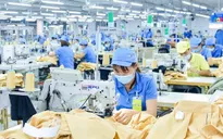 Kỳ 7: Tăng cường sự năng động cho khu vực tứ giác kinh tế Đồng Nai – Bình Dương – Bà Rịa-Vũng Tàu và TP Hồ Chí Minh