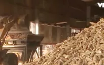 Phát hiện doanh nghiệp xuất khẩu sắn bán hàng cho doanh nghiệp "ma" tại Trung Quốc