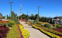 Đà Lạt lọt top 3 điểm đến để ngắm hoa trên thế giới