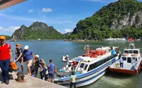 “Nóng” thị trường tour du lịch nội địa