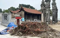 Hà Nội: Kiểm tra việc tu bổ đình Chèm sau những hình ảnh chặt đa, phá dỡ bậc thềm