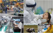 GDP quý I tăng 5,03%