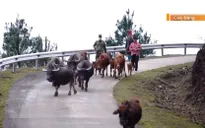 Những "cột mốc sống" giữ biên cương