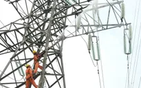 EVN lo ngại nguy cơ thiếu điện từ tháng 4/2022