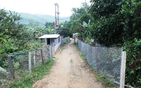 Ồ ạt "đi tắt, đón đầu" chờ đền bù