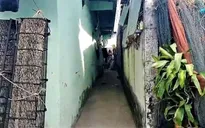 Nghi bị bạo hành, một bé gái ở Cà Mau được bảo vệ khẩn cấp