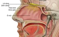 F0 cần làm gì khi bị mất vị giác và khứu giác?