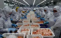 Năm 2022, kỳ vọng tăng trưởng mạnh mẽ của ngành nông nghiệp