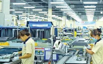 TP Hồ Chí Minh thu hút gần 550 triệu USD vào các khu chế xuất và công nghiệp