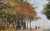 Miền Bắc nắng ấm trước khi đón không khí lạnh