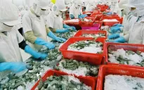 Xuất khẩu thủy sản nỗ lực đạt 10 tỷ USD