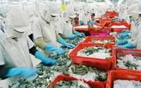 Xuất khẩu thủy sản đối mặt nhiều khó khăn