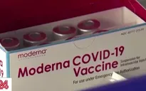 Moderna thu hồi hơn 764 nghìn liều vaccine nhiễm chất lạ