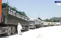 Phương thức giao nhận mới hỗ trợ thông quan hàng hóa