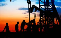 Nguyên nhân khiến giá dầu lao dốc?