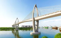 Bà Rịa – Vũng Tàu phê duyệt chủ trương chuyển mục đích sử dụng rừng để thực hiện dự án cầu Phước An