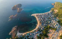 Phê duyệt nhiệm vụ lập Quy hoạch vùng Bắc Trung Bộ và duyên hải miền Trung thời kỳ 2021 - 2030