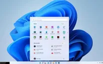 Windows 11 không phổ biến bằng Windows XP
