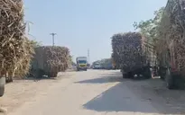 Gia Lai: "Nhộn nhịp" xe quá khổ - quá tải