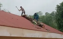 Dông lốc gây thiệt hại ở Điện Biên