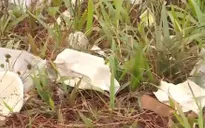 Lâm Đồng: Xả rác bừa bãi tại các điểm du lịch miễn phí