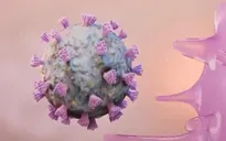 Thử nghiệm lây nhiễm chủ động trên người với virus SARS-CoV-2