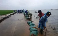 Bộ đội đắp đê ngăn lũ cứu lúa, đảm bảo giao thông vùng lũ